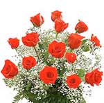 send flowers to Dhule__15 red roses