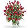 send gifts to Dhule_more flowers