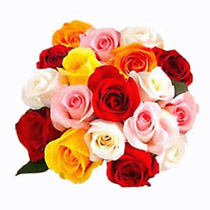 send Bunch of  25 Roses Mixed to vizag