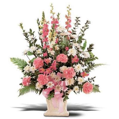 send Exotic Carnations & Orchids arrangement to ujjain