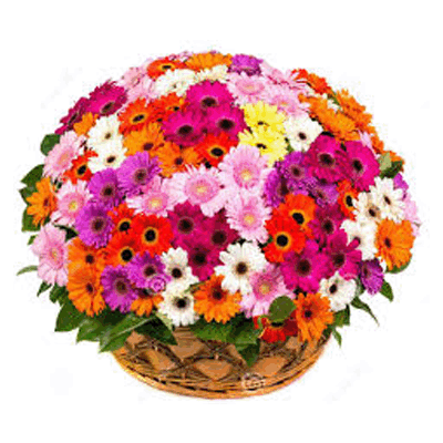 send mixed flowers basket to solapur