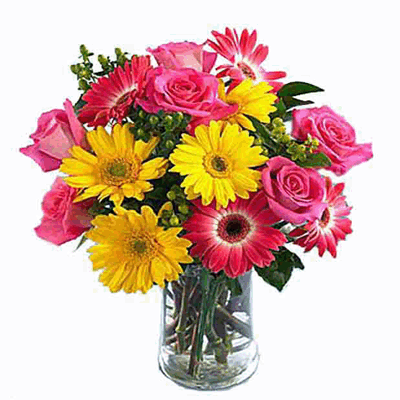 send 12 Different Colors Gerberas in A Vase to kottayam