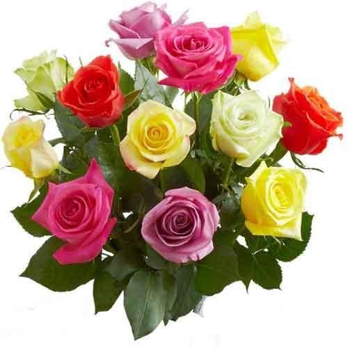 send Dozen mixed Roses to solapur