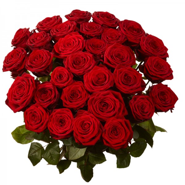 send Bunch of 30 Red Roses to solapur