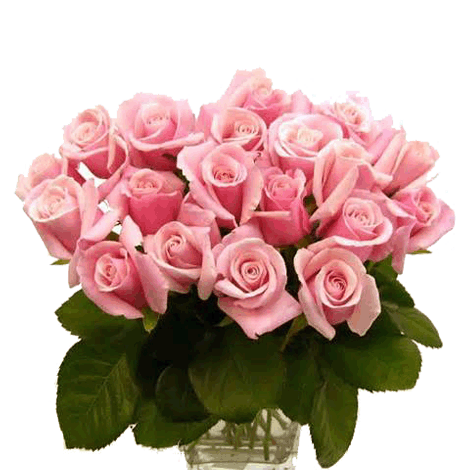 send Bunch of 24 Pink Roses to solapur