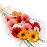 send flowers to solapur on midnight